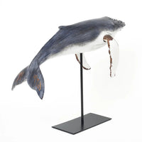 Humpback Whale Ornament on a Stand Marine Mammals Batela Giftware