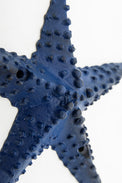 Starfish Metal Coat Hook (Blue) Coat Racks & Hooks Batela Giftware