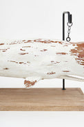 Large Sperm Whale Ornament on Stand (White) Marine Mammals Batela Giftware