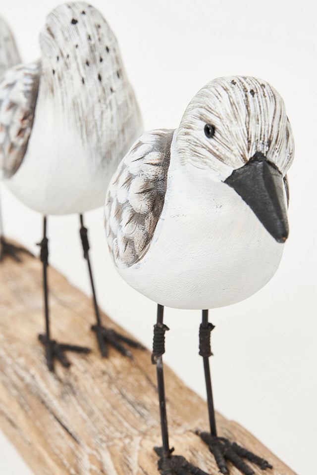 Three Sea Birds Ornament on a Driftwood Base Birds Driftwood Batela Giftware