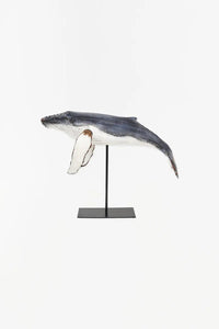 Humpback Whale Ornament on a Stand Marine Mammals Batela Giftware