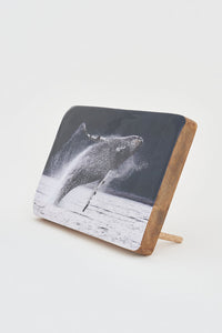 Whale Photo on Wooden Block Coat Racks & Hooks Batela Giftware