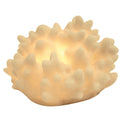 Illuminated Coral Decoration Display Lamp Table Lamps Batela Giftware