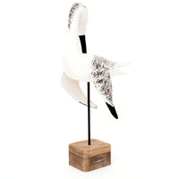 Large Sea Bird (Preening) on a Stand Ornament Birds Driftwood Batela Giftware