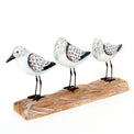 Three Sea Birds Ornament on a Driftwood Base Birds Driftwood Batela Giftware