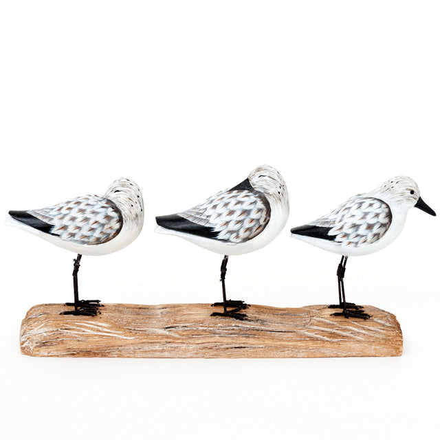 Three Sea Birds Ornament on a Driftwood Base Birds Driftwood Batela Giftware