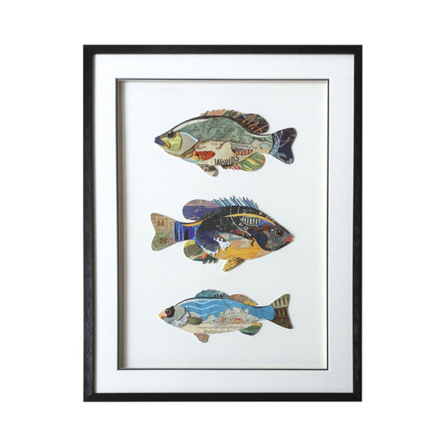 Framed Collage Picture of Three Fish Clearance Batela Giftware